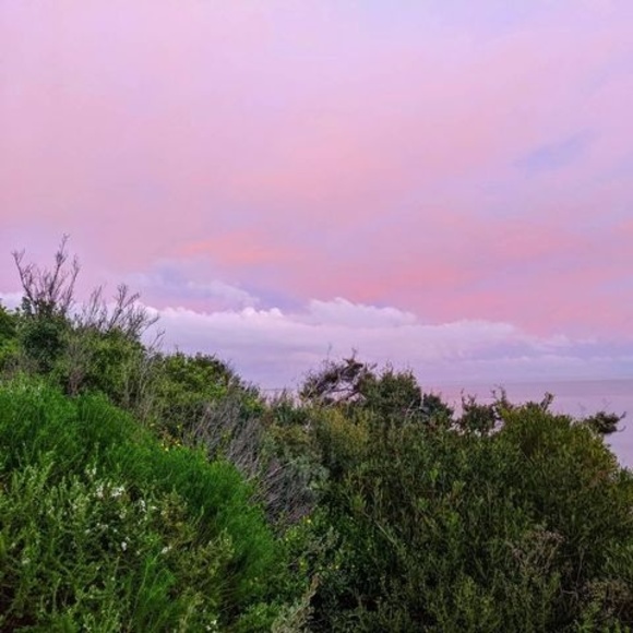 Meet your Posher, Priscilla - Picture 1 of 1